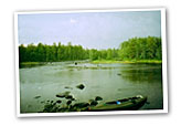 Фото из отчета о водном походе по реке Воньга.